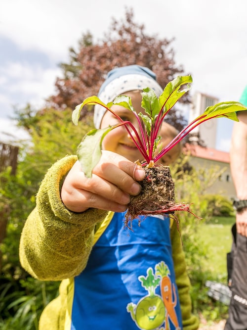 Kinder am Beet bei 