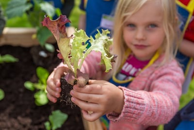 Ein Mädchen steht an einem Hochbeet und zeigt einen kleinen Setzling in die Kamera.
