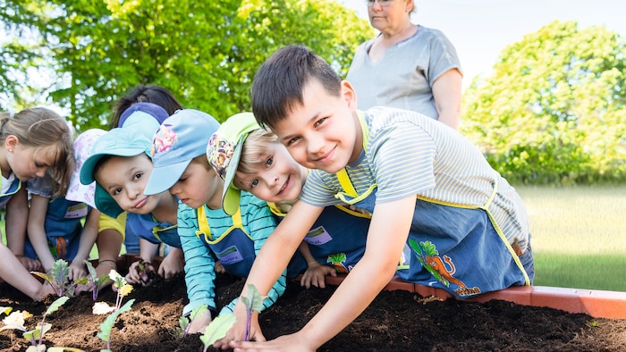 Gemüsebeete für Kids