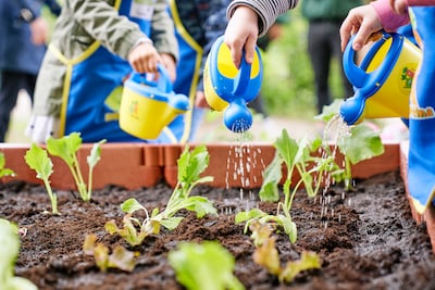 Kita Rathausspatzen Corona 2020 Gemüsebeete für Kids