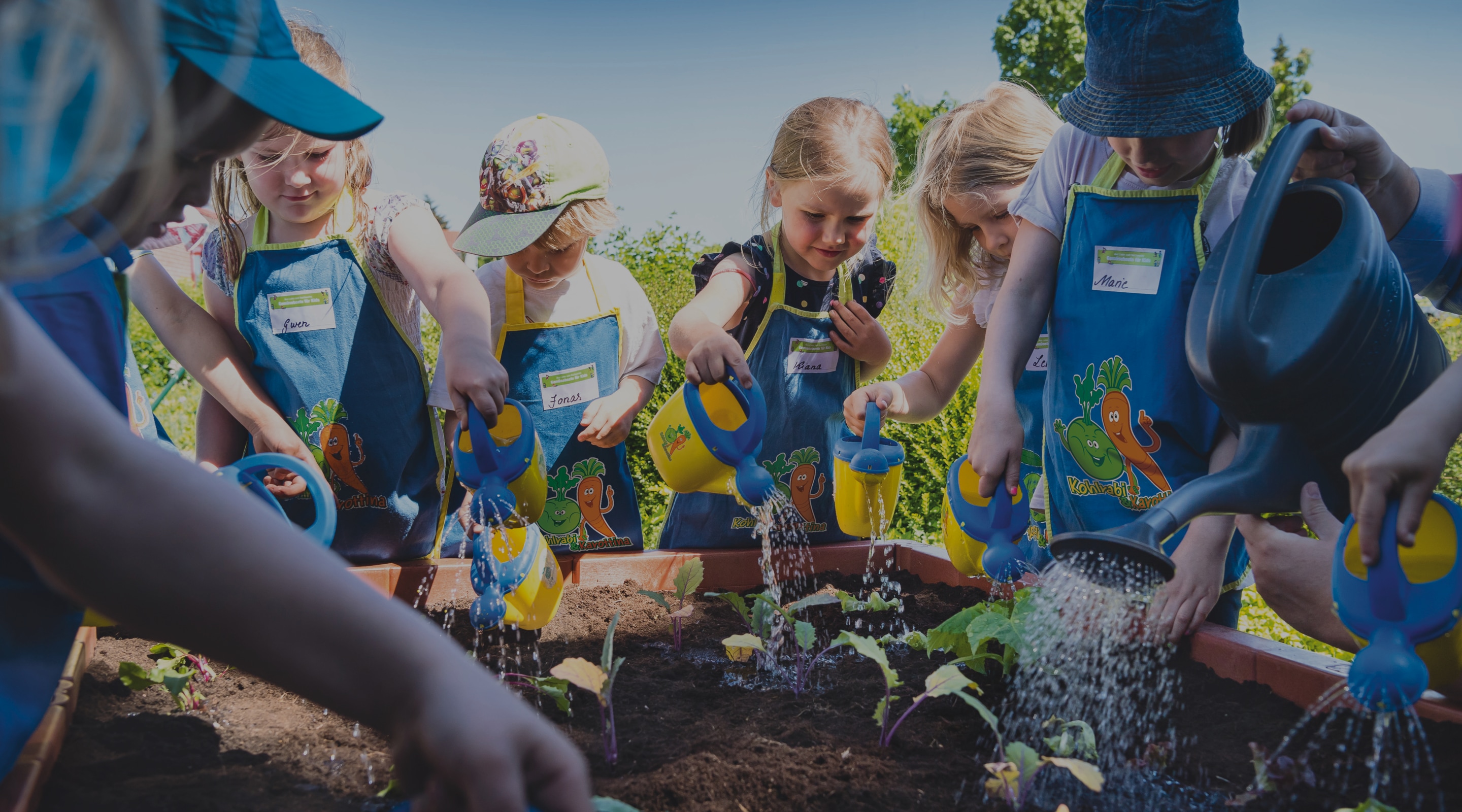 Kita-Kinder in grün-gelben Schürzen gießen am Gemuesebeet die neu gepflanzten Setzlinge.