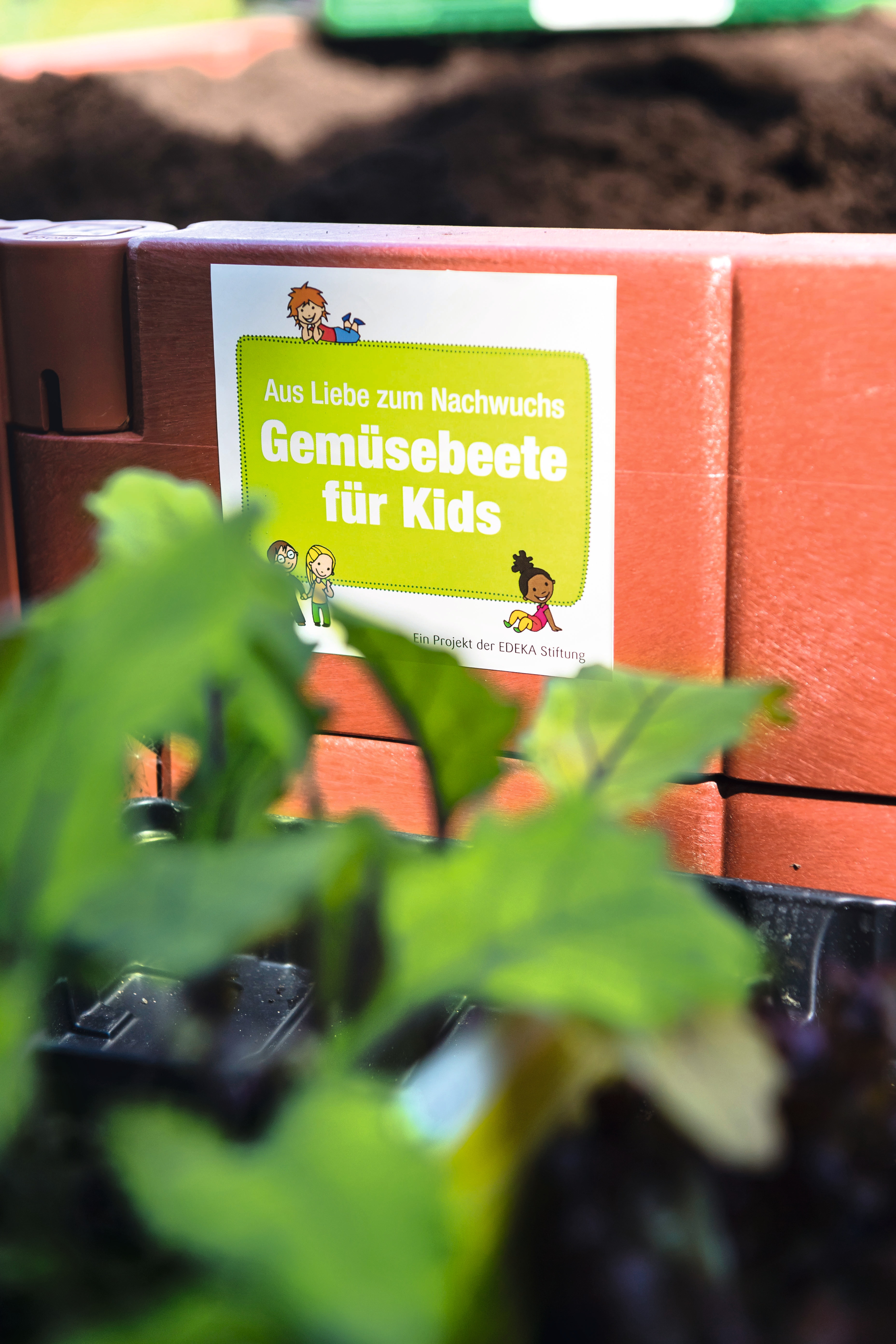 Das "Gemüsebeete für Kids"-Logo klebt an der Seite eines Hochbeets.