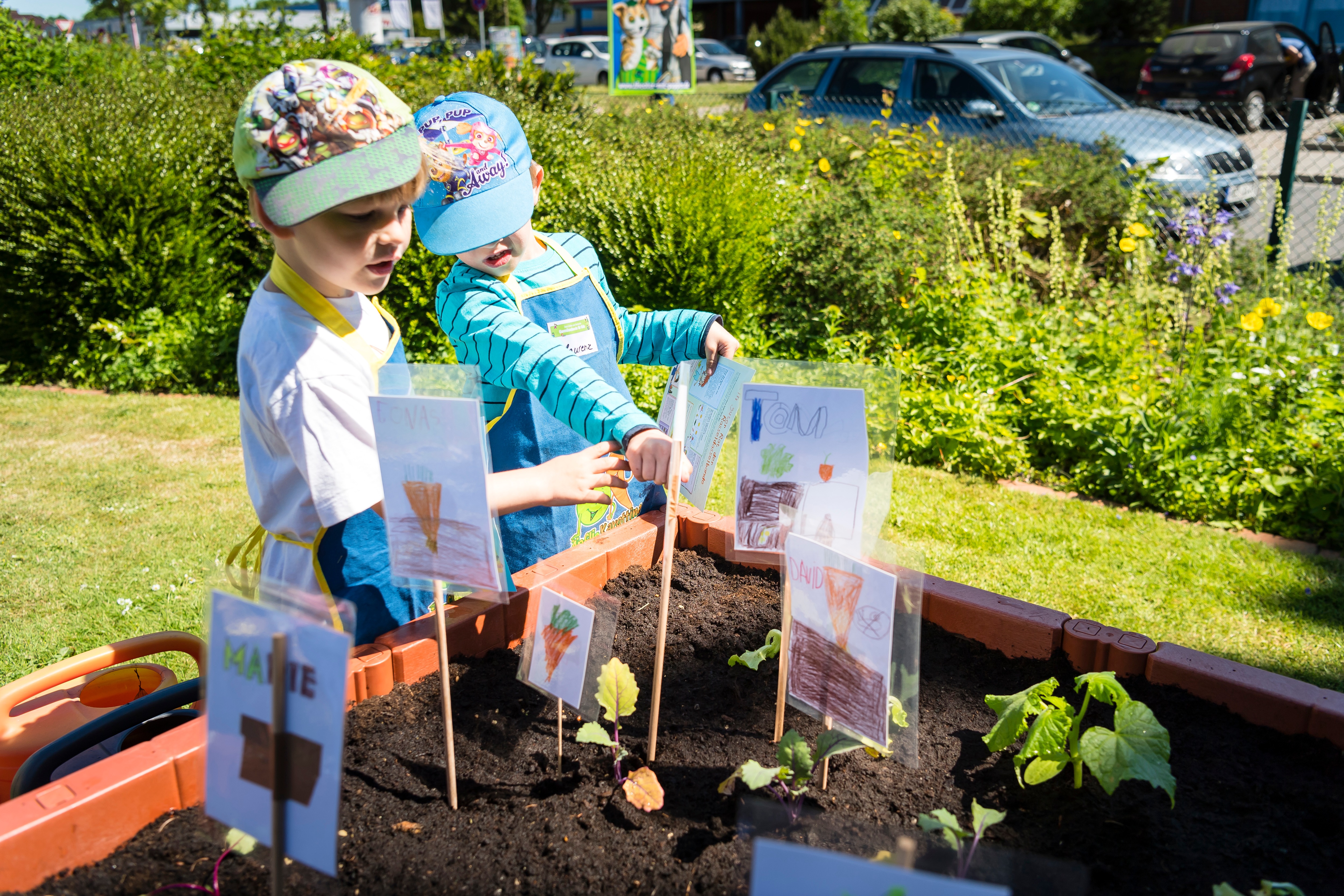 Kinder stecken Beet-Schilder zu den frisch gepflanzten Setzlingen ins Hochbeet von "Gemüsebeete für Kids" der EDEKA Stiftung.