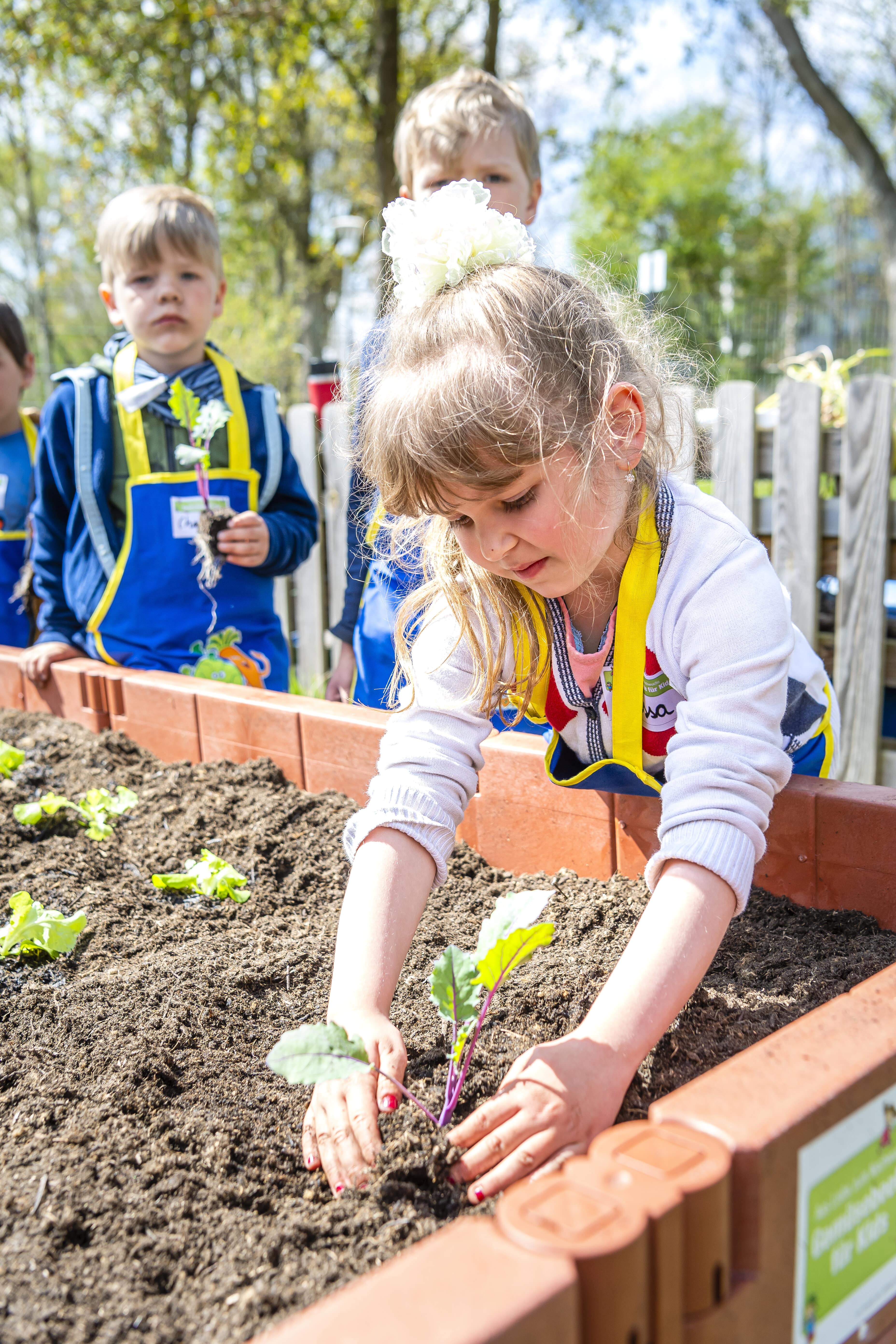 Kita-Kinder pflanzen Setzlinge in ein Hochbeet bei "Gemüsebeete für Kids".