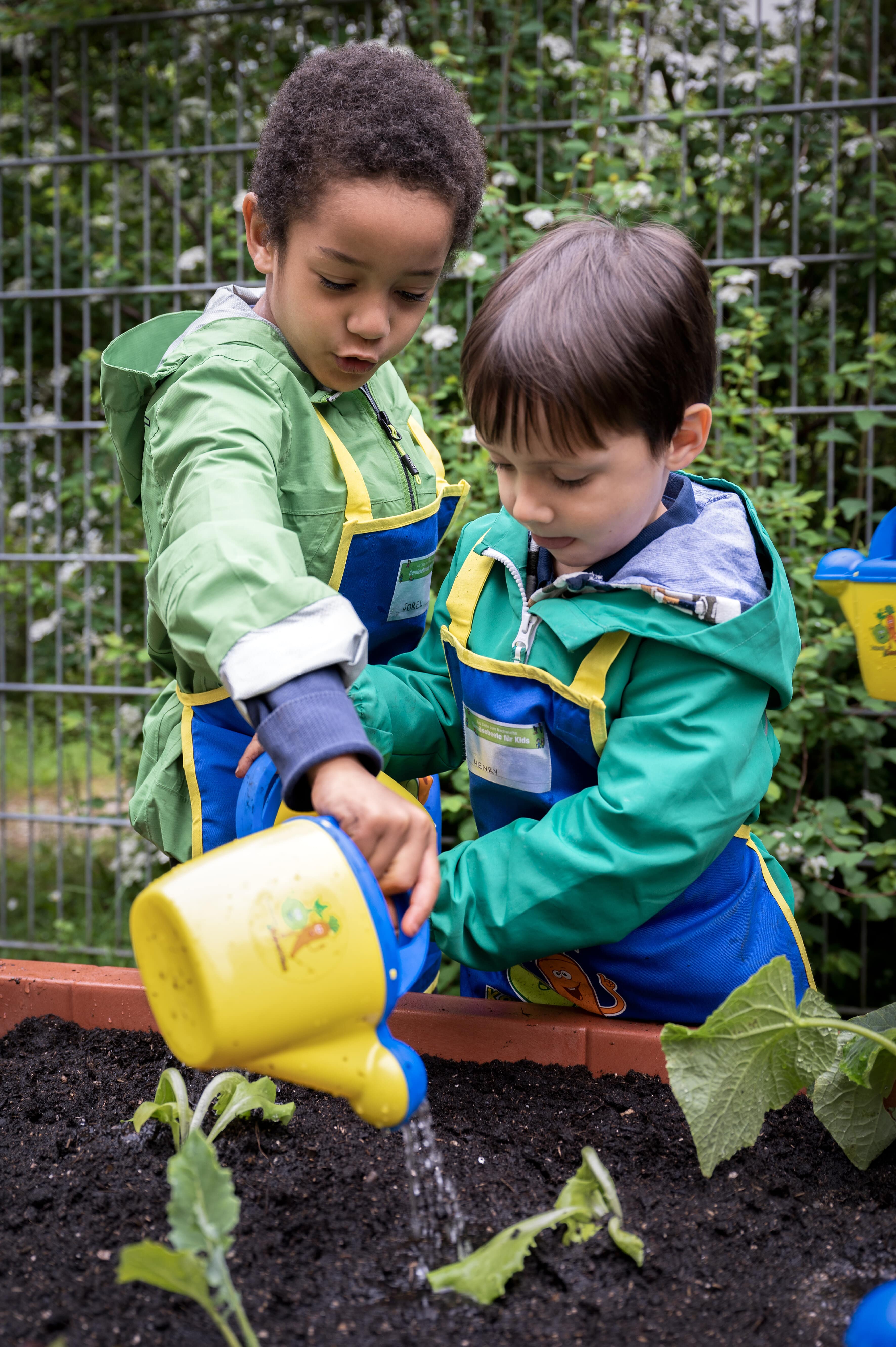Kita-Kinder gießen bei "Gemüsebeete für Kids" die neu eingepflanzten Setzlinge im Hochbeet.