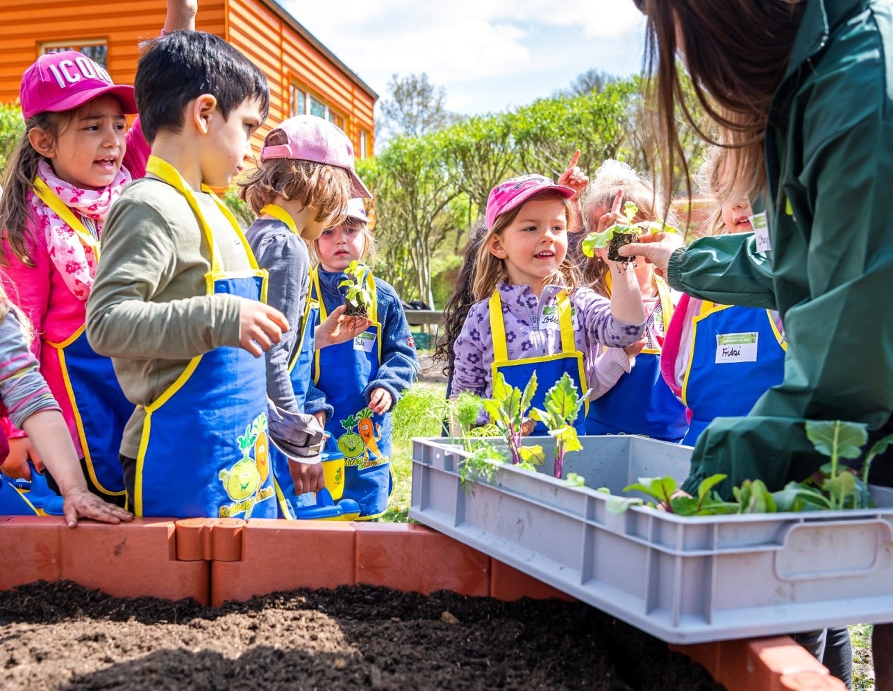 Ein Teammitglied der EDEKA Stiftung zeigt Kita-Kindern am Hochbeet die einzupflanzenden Setzlinge bei "Gemüsebeete für Kids".