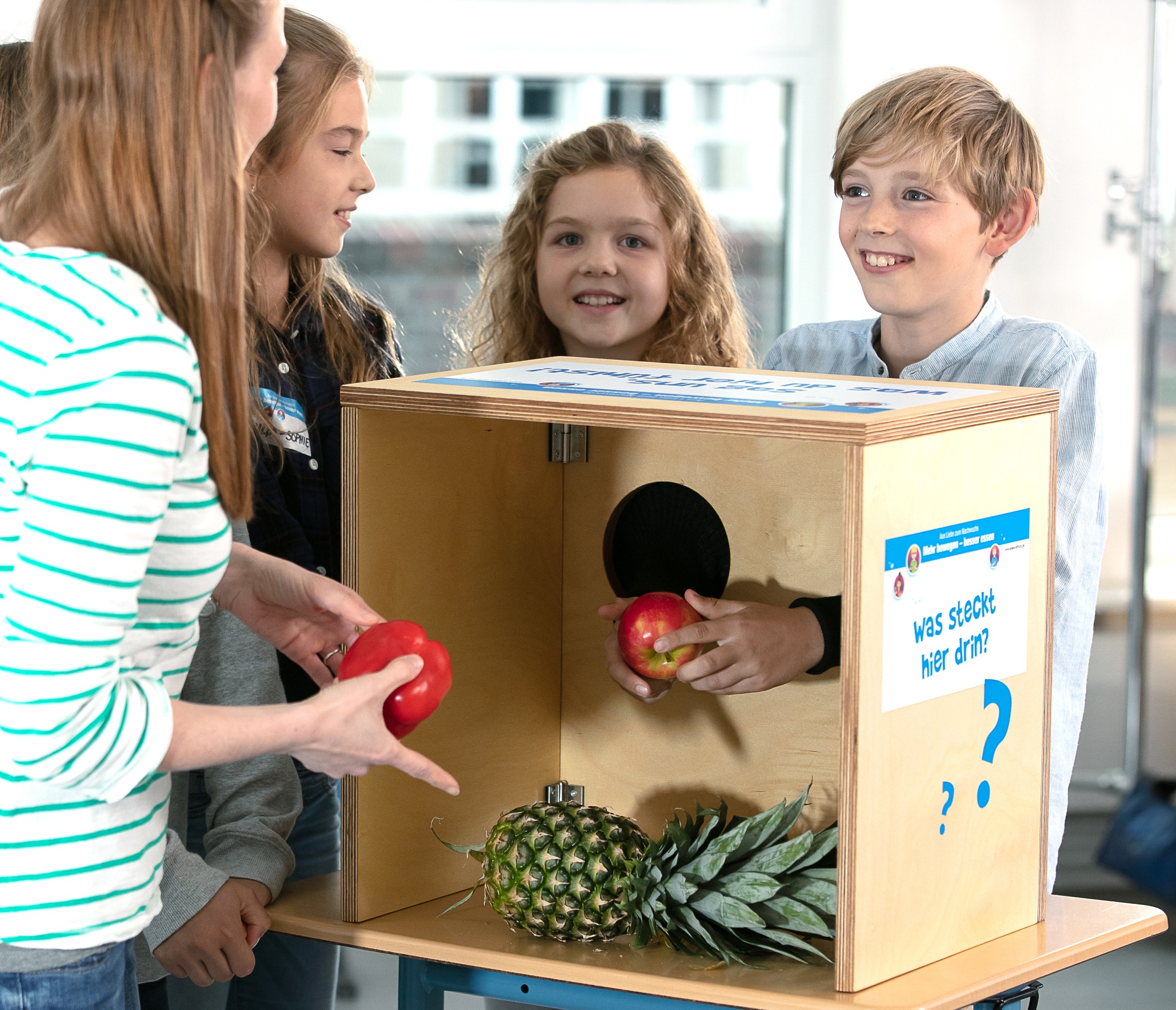 In einer Tastbox am Projekttag "Mehr bewegen - besser essen" der EDEKA Stiftung ertastet einen Apfel.